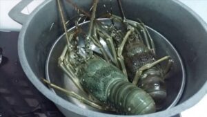 Cách hấp tôm hùm ngon ngọt, không tanh, không bở (bí quyết đầu bếp hải sản)
