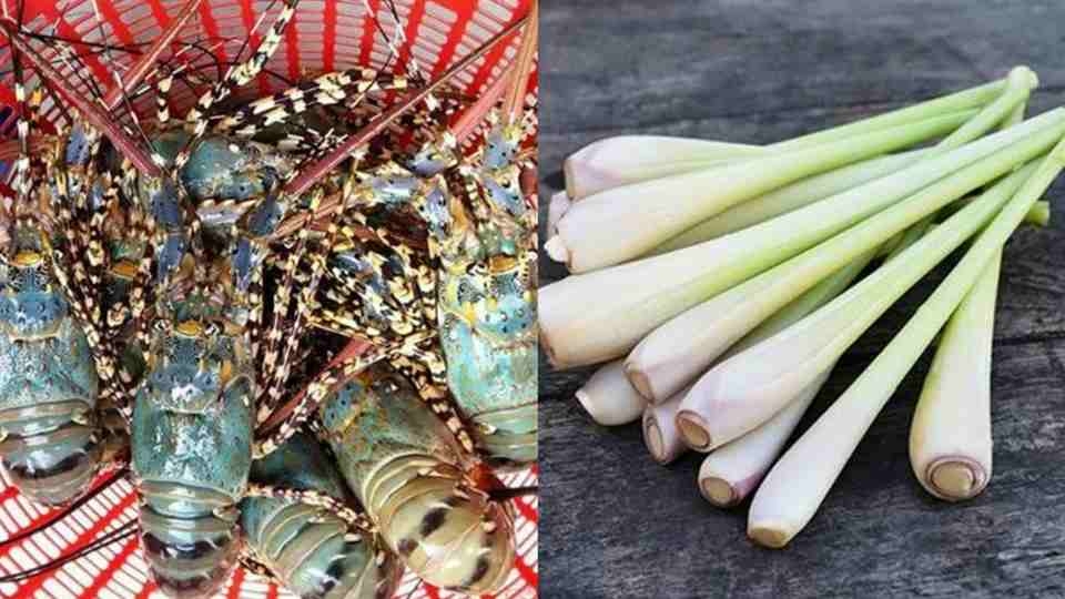 Cách luộc tôm hùm với bia và sả siêu thơm