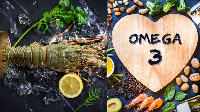 Giá trị dinh dưỡng của tôm hùm tre