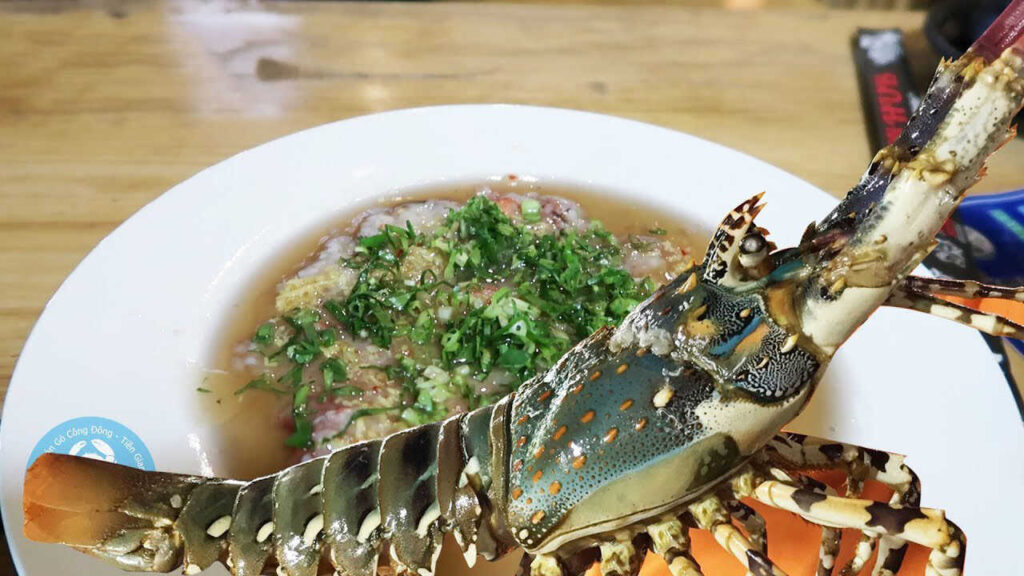 Tiết canh tôm hùm: món “độc lạ” từ biển cả, cách làm và những điều cần biết