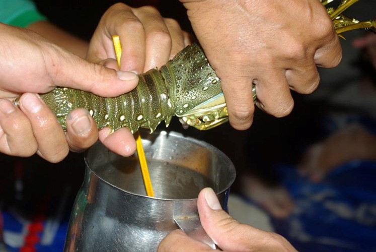 Tiết canh tôm hùm có tác dụng gì? 